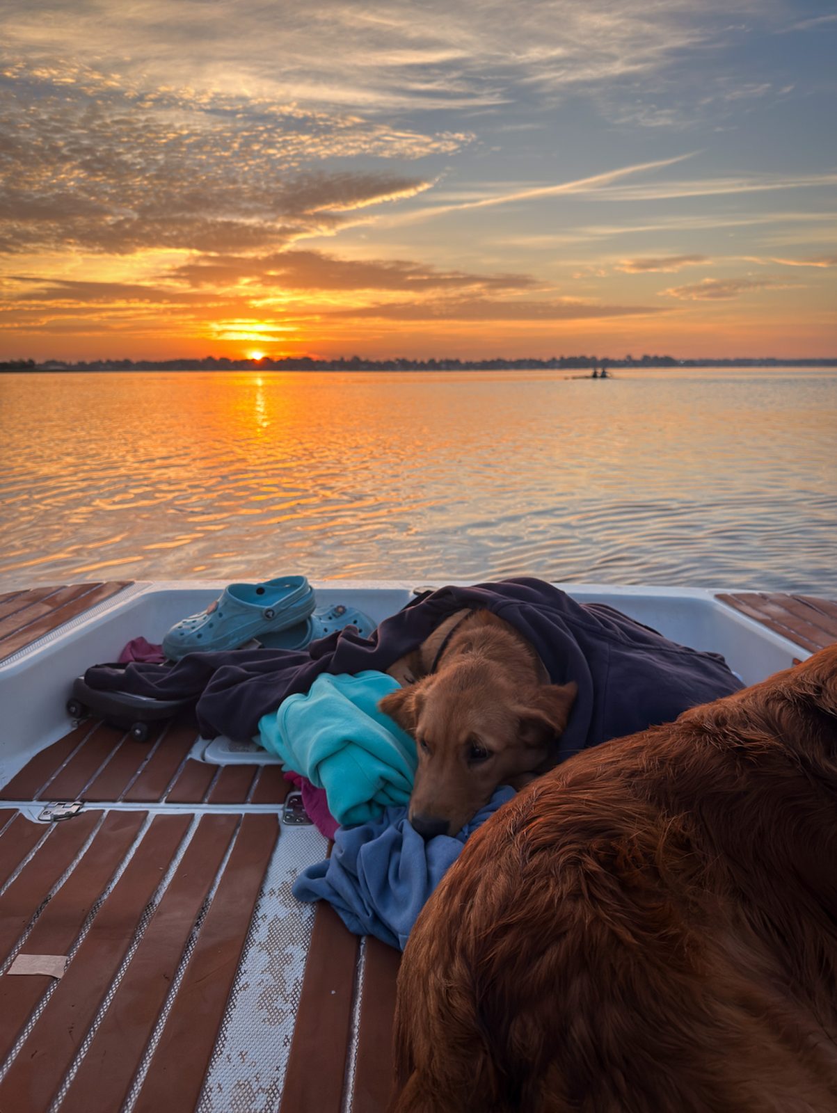 The boathouse dog asleep on the gear in the coaching launch at sunrise